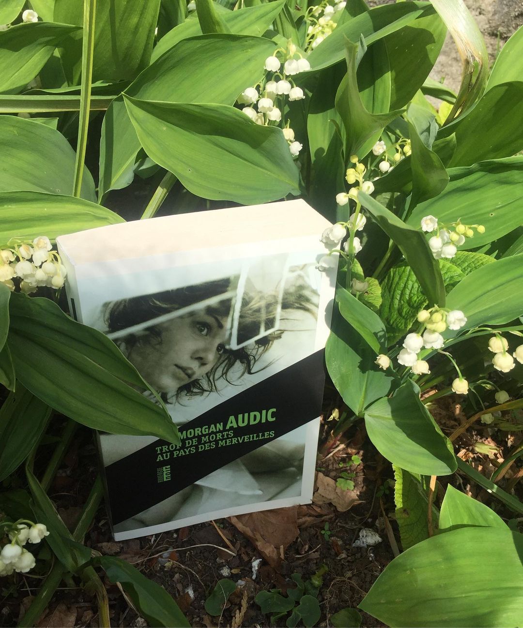 73841e7d2556eae6d67c6adfe1d8a868