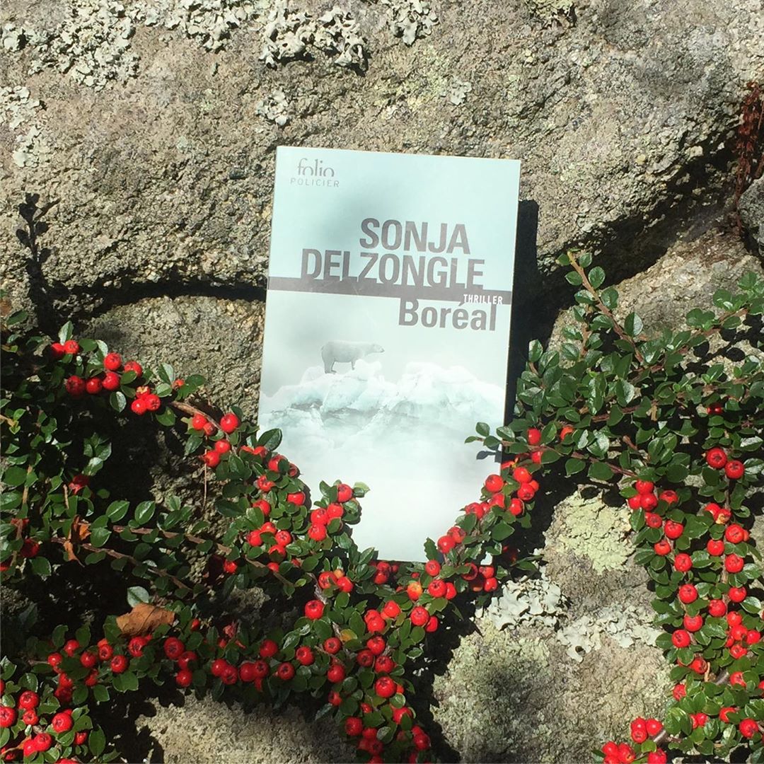 a2c1c202a425880aa14c0fbc11db08a5