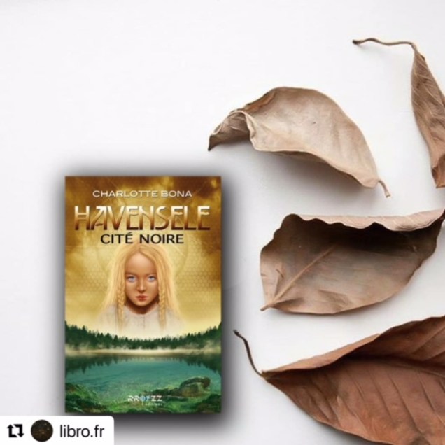 29bcafff-0f25-4322-b254-b44a3a60f911-1